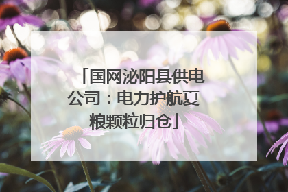 国网泌阳县供电公司：电力护航夏粮颗粒归仓