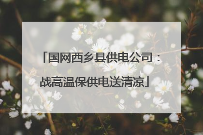 国网西乡县供电公司：战高温保供电送清凉