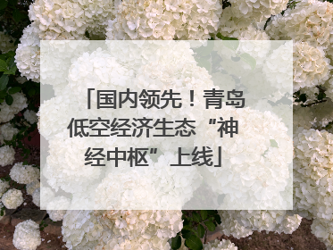 国内领先！青岛低空经济生态“神经中枢”上线