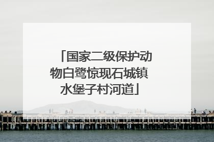 国家二级保护动物白鹭惊现石城镇水堡子村河道