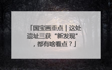 国宝画重点｜这处遗址三获“新发现”，都有啥看点？