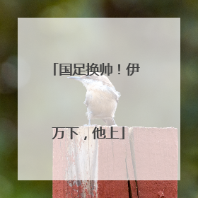 国足换帅！伊万下，他上