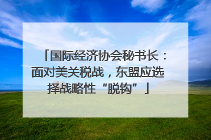 国际经济协会秘书长：面对美关税战，东盟应选择战略性“脱钩”