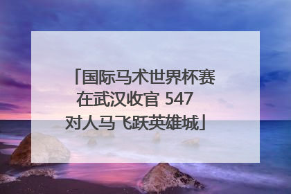 国际马术世界杯赛在武汉收官 547对人马飞跃英雄城