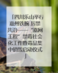 四川乐山举行嘉州铁腕 厉禁共治——“嘉网工程”禁毒社会化工作暨毒品集中销毁启动仪式