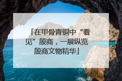 在甲骨青铜中“看见”殷商，一展纵览殷商文物精华