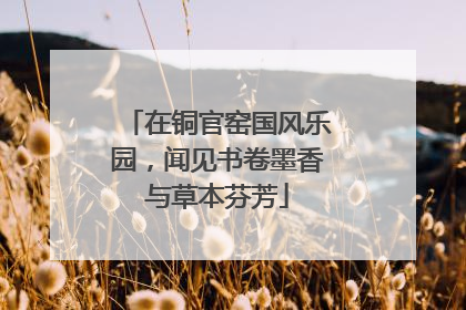 在铜官窑国风乐园，闻见书卷墨香与草本芬芳