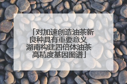 对加速创造油茶新良种具有重要意义 湖南构建四倍体油茶高精度基因图谱