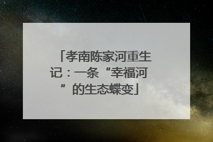 孝南陈家河重生记：一条“幸福河”的生态蝶变
