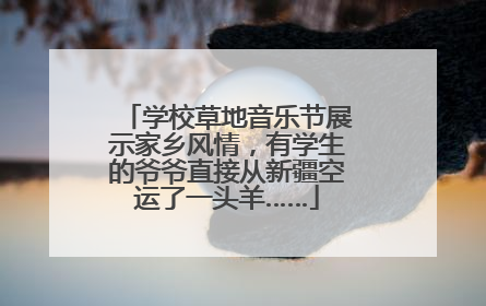 学校草地音乐节展示家乡风情，有学生的爷爷直接从新疆空运了一头羊……