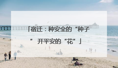宿迁：种安全的“种子” 开平安的“花”
