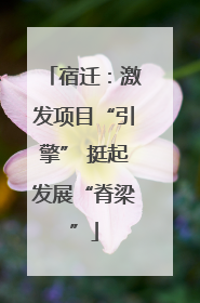 宿迁：激发项目“引擎” 挺起发展“脊梁”