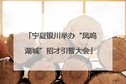 宁夏银川举办“凤鸣湖城”招才引智大会