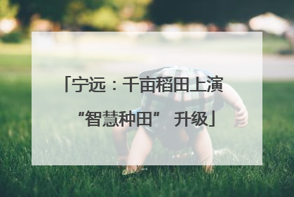 宁远：千亩稻田上演 “智慧种田” 升级