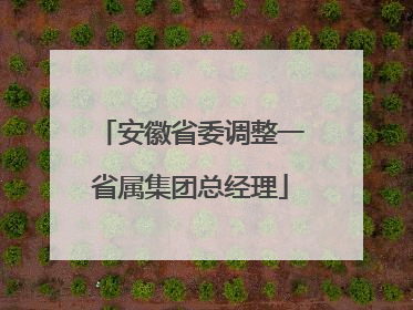安徽省委调整一省属集团总经理