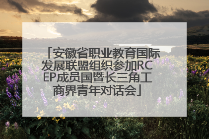 安徽省职业教育国际发展联盟组织参加RCEP成员国暨长三角工商界青年对话会
