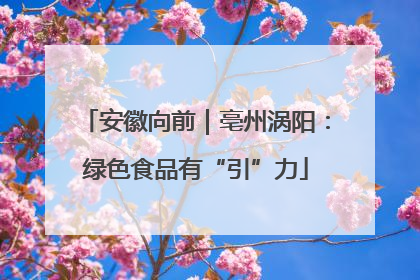 安徽向前｜亳州涡阳：绿色食品有“引”力