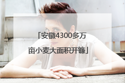 安徽4300多万亩小麦大面积开镰
