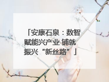 安康石泉：数智赋能兴产业 铺就振兴“新丝路”