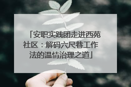 安职实践团走进西苑社区：解码六尺巷工作法的温情治理之道