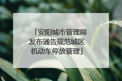安阳城市管理局发布通告规范城区机动车停放管理