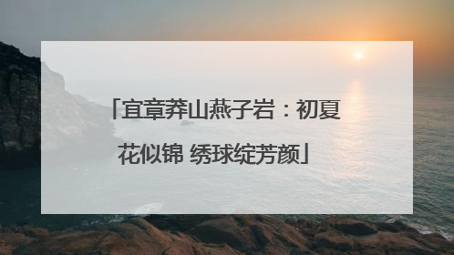 宜章莽山燕子岩：初夏花似锦 绣球绽芳颜