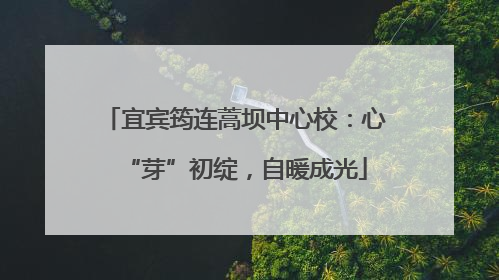 宜宾筠连蒿坝中心校：心“芽”初绽，自暖成光