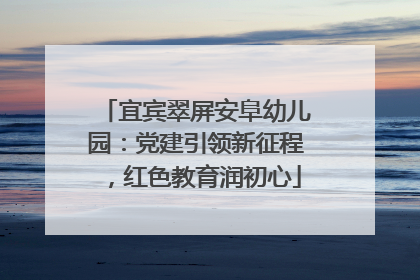 宜宾翠屏安阜幼儿园：党建引领新征程，红色教育润初心