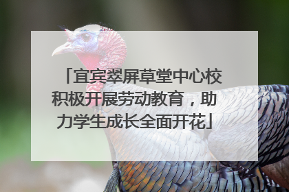宜宾翠屏草堂中心校积极开展劳动教育，助力学生成长全面开花