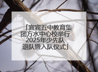 宜宾五中教育集团方水中心校举行2025年少先队退队暨入队仪式