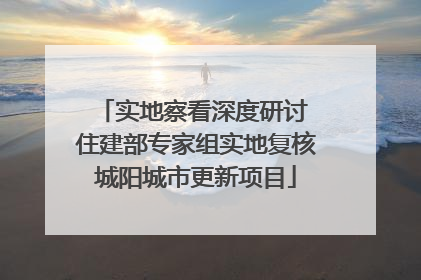 实地察看深度研讨 住建部专家组实地复核城阳城市更新项目