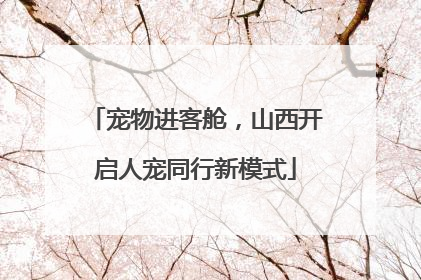 宠物进客舱，山西开启人宠同行新模式