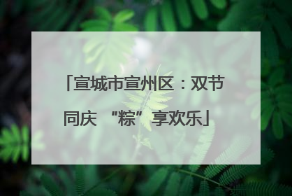 宣城市宣州区：双节同庆 “粽”享欢乐