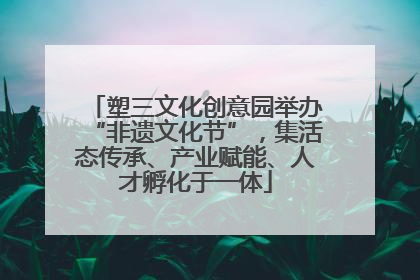 塑三文化创意园举办“非遗文化节”，集活态传承、产业赋能、人才孵化于一体