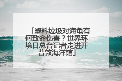 塑料垃圾对海龟有何致命伤害？世界环境日总台记者走进开普敦海洋馆