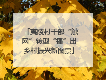 夷陵村干部“触网”转型“播”出乡村振兴新图景