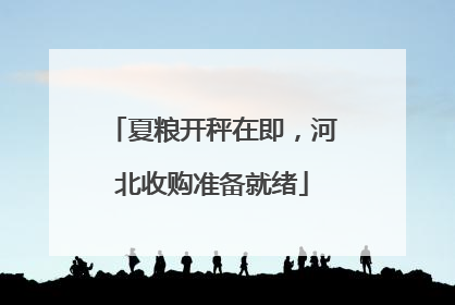 夏粮开秤在即，河北收购准备就绪