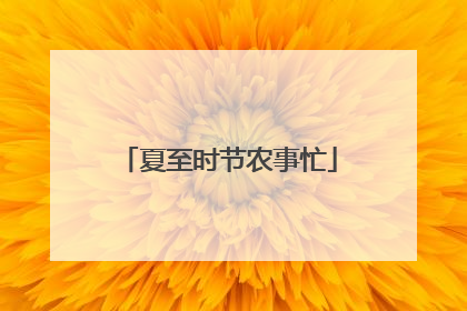 夏至时节农事忙