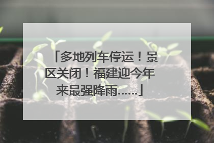 多地列车停运！景区关闭！福建迎今年来最强降雨……