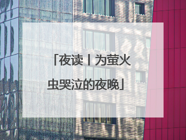 夜读丨为萤火虫哭泣的夜晚