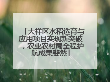 大祥区水稻选育与应用项目实现新突破，农业农村局全程护航成果斐然