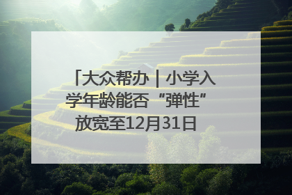 大众帮办｜小学入学年龄能否“弹性”放宽至12月31日？有地方已在探索
