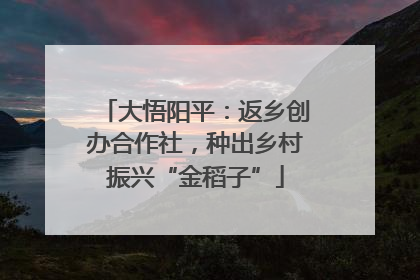 大悟阳平：返乡创办合作社，种出乡村振兴“金稻子”