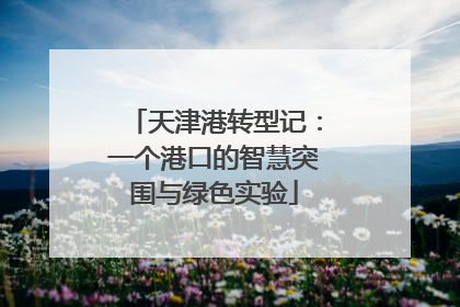 天津港转型记：一个港口的智慧突围与绿色实验