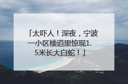 太吓人！深夜，宁波一小区楼道里惊现1.5米长大白蛇！