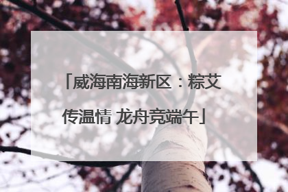 威海南海新区：粽艾传温情 龙舟竞端午