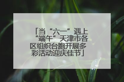 当“六一”遇上“端午”天津市各区组织台胞开展多彩活动迎庆佳节