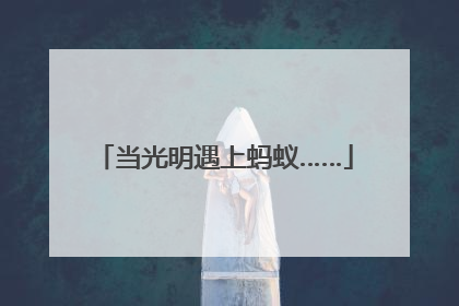 当光明遇上蚂蚁……