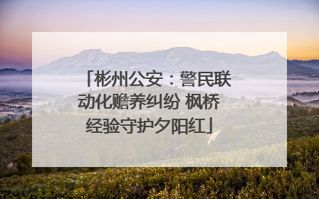 彬州公安：警民联动化赡养纠纷 枫桥经验守护夕阳红