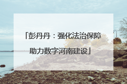 彭丹丹：强化法治保障 助力数字河南建设